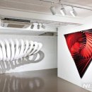 ECO FLOW - 이미지