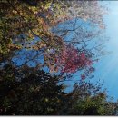 모악농장 이미지