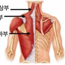 앤티크짐 이미지