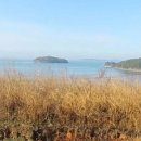 곰솔부동산공인중개사사무소 이미지