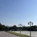 청와대만두 이미지