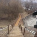 버드나루로 이미지