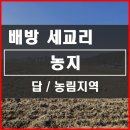 배방농협 산지유통센터 | [아산토지] 배방 세교리 넓은 뜰 농림지역 농지 매매