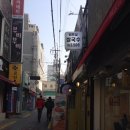 하롱PHO 네이버블로그