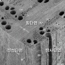 본구조 이미지