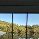 카페힐링 - 여수시 | 카페힐링