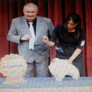 한국참피온 이미지