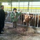 금마축산 이미지