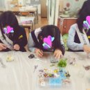 신탄진중학교 이미지