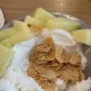 달브로 이미지