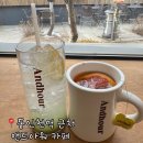 동인천역 노키즈존 카페 사진찍기 좋은 앤드아워 후기