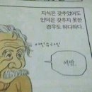 허다하다 이미지