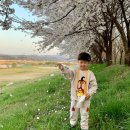 CU 대전현암점 | [일상]2022.04.09 토요일 대전 전민동 -> 대청호 야간 벚꽃 구경 드라이브