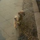 금강산 캬바레 | 두번째 런던 여행기 (27.01.2025)