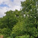 예우농장 이미지