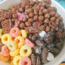 우주정복 | 🚚비빔밥으로 우주정복 + 과일담은 요거트맛집 아이스크림 배달 후기