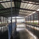 (주)풍영 이미지