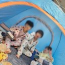 송내정도태권도장 이미지