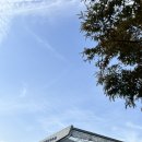 화성흑범체육관 | [원정 경기 직관] 인천삼산월드체육관 원정 경기 직관 후기