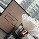 채채블랑 이미지