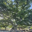 당산마을 이미지