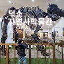 모여라 | 덕소자연사박물관 경기도 가볼만한곳 아이와 재방문 후기, 공룡 덕후 모여라