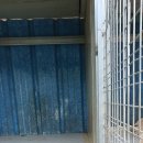 도암1리마을회관 이미지