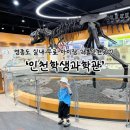 에듀사이언스 | 인천 아이랑 무료 실내 영종도 가볼만한곳 인천학생과학관 솔직후기