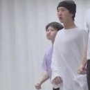 포포