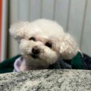 남양종합동물병원 이미지