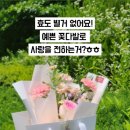 리플라워 이미지