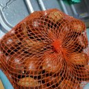 택배(공주햇밤 5kg) 이미지