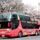 시티투어 이미지