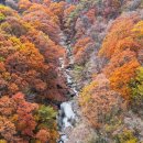 지리산 : 가을 단풍의 아름다운 향연