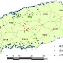 샛도리물 이미지