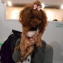 은비세탁 이미지