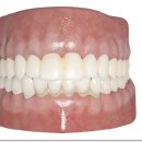 365이강치과의원 이미지