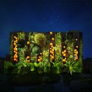 갈대2축구장 이미지