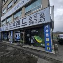 광교 중고 골프채 매장 다이와 여성 풀세트 구입 후기