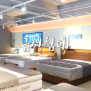 금성전자 | 인천침대 고품질 금성침대 인천구월점 후기