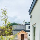 치즈바다 이미지