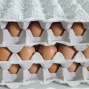 농업회사법인 (주)안일농장 이미지