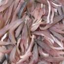 순이랑한잔 이미지