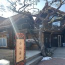 솔내음솔솔 | [부여 맛집] 건강을 담은 솔내음레스토랑에서 한우떡갈비와 연잎밥 정식으로 든든하게