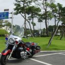 토종흑염소농장 이미지