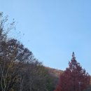 다목적게이트볼장화장실 이미지