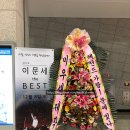 메디칼이송단 네이버블로그