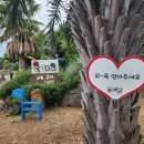 제주탐나는부동산공인중개사사무소 이미지