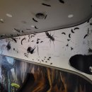 영월동굴생태관 이미지