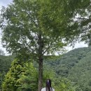 연담공원 이미지